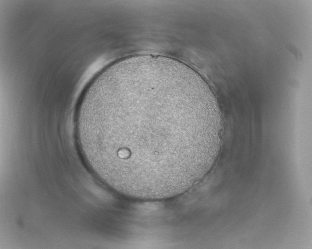 X0000115420102200911241356