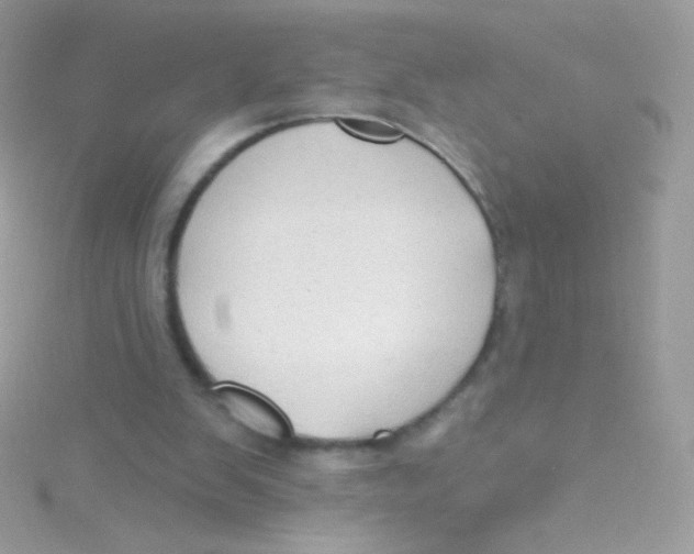 X0000115420103200911241356