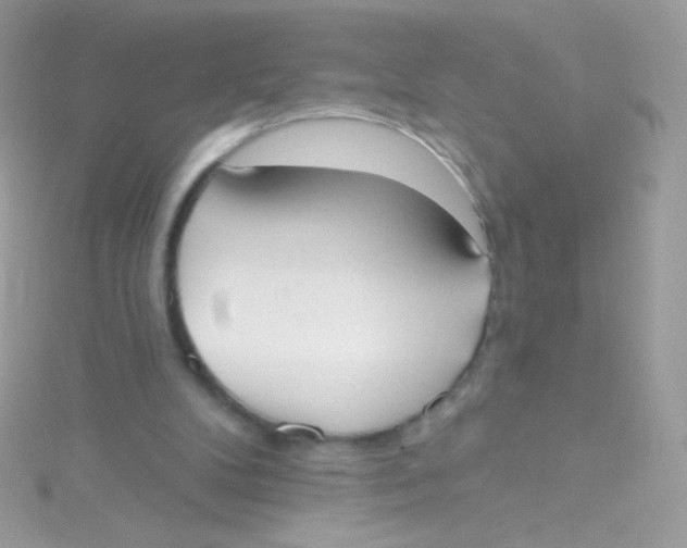 X0000115420104200911241356