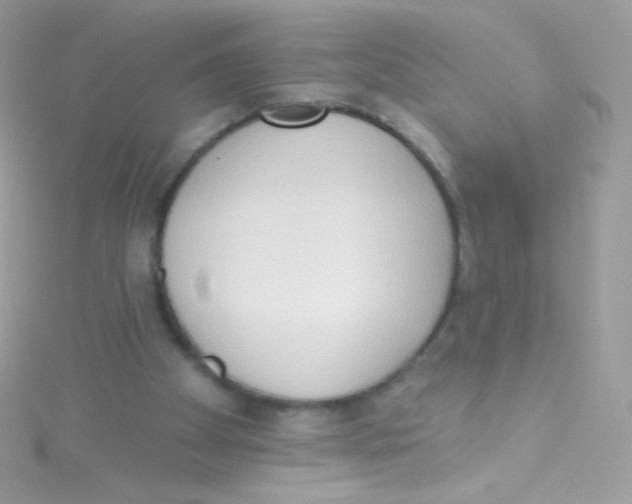 X0000115420105200911241356