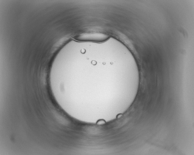 X0000115420106200911241356