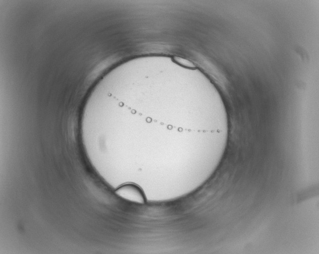 X0000115420107200911241356