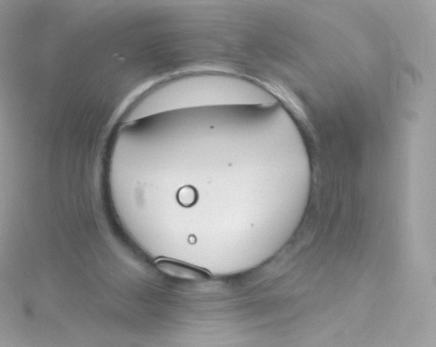 X0000115420108200911241356