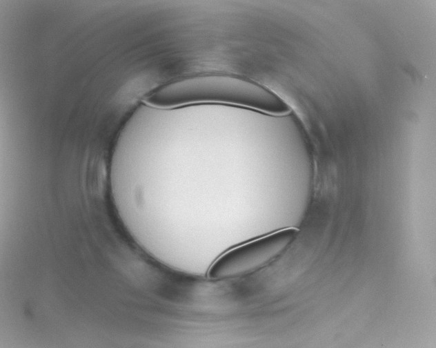 X0000115420109200911241356