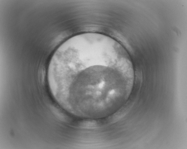 X0000115420110200911241356