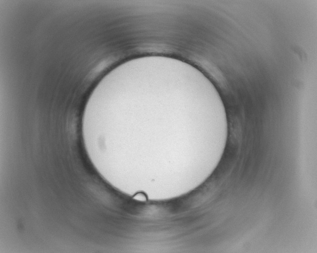 X0000115420111200911241356