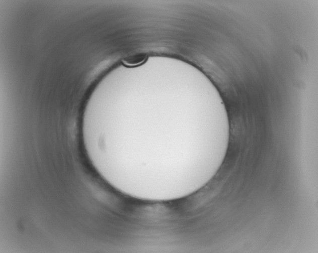 X0000115420112200911241356