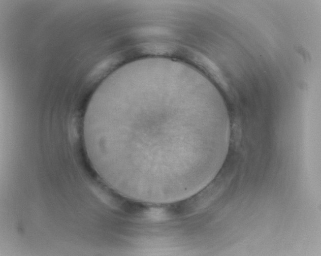 X0000115420114200911241356