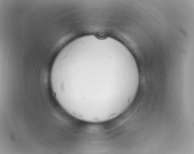 X0000115420115200911241356