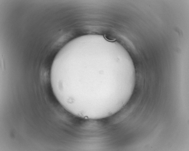 X0000115420123200911241356