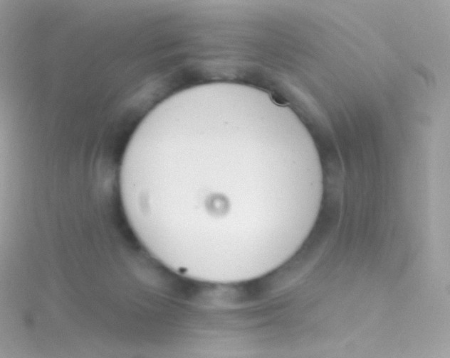 X0000115420125200911241356