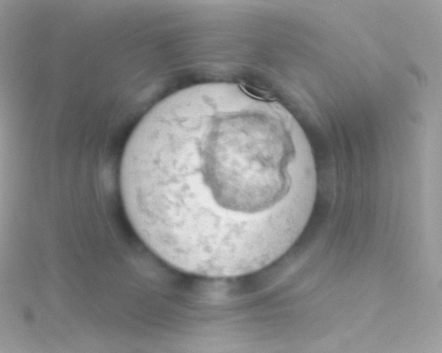 X0000115420131200911241356