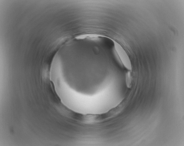 X0000115420143200911241356