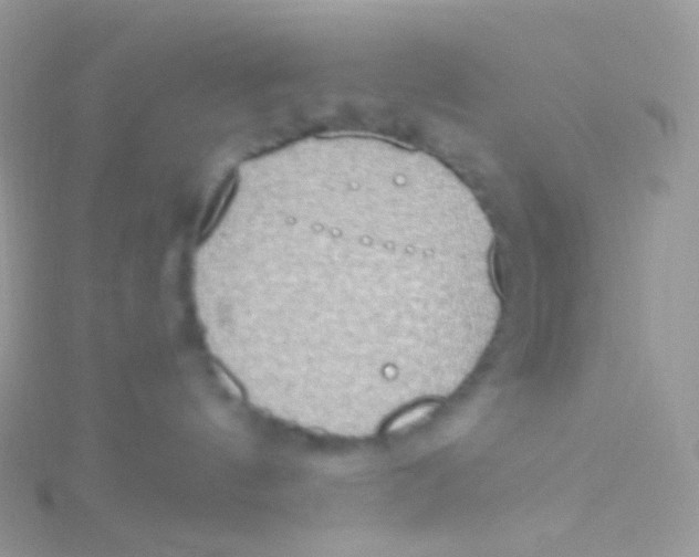 X0000115420144200911241356