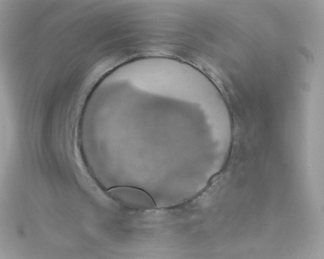 X0000115420145200911241355