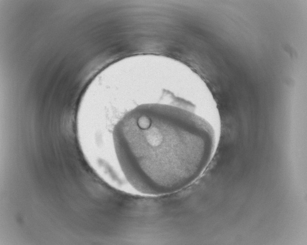 X0000115420146200911241355