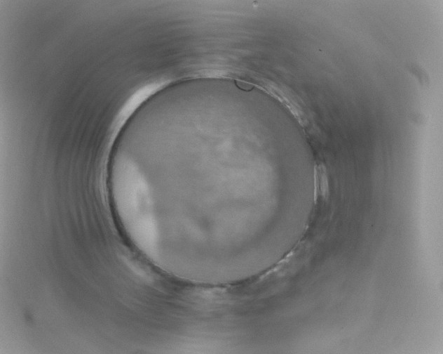 X0000115420147200911241355