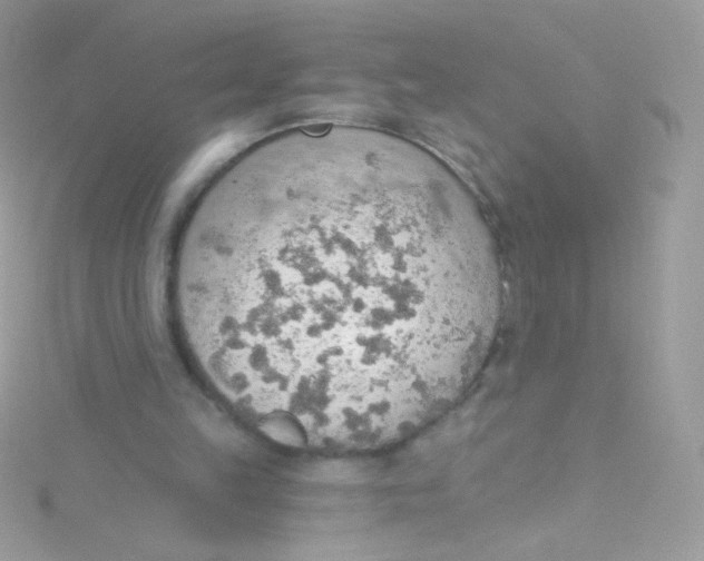 X0000115420149200911241355