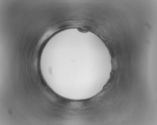 X0000115420150200911241355