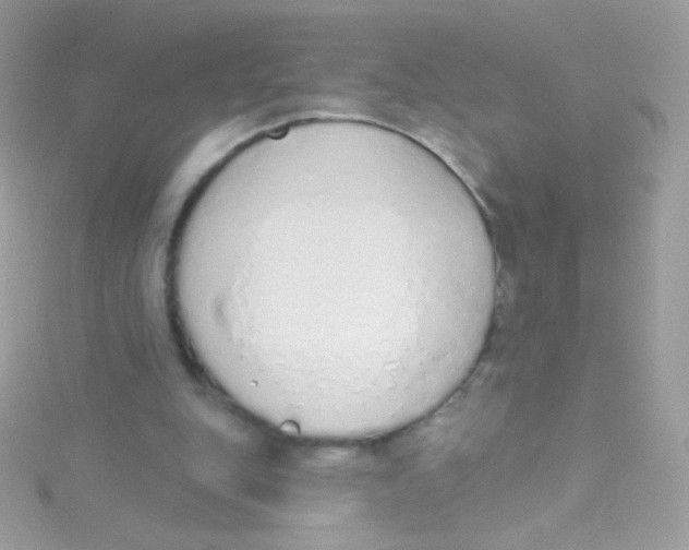 X0000115420151200911241355