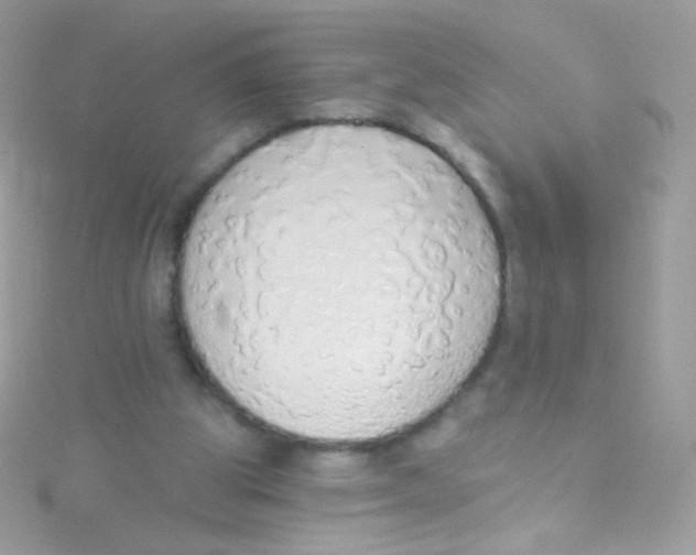 X0000115420153200911241355