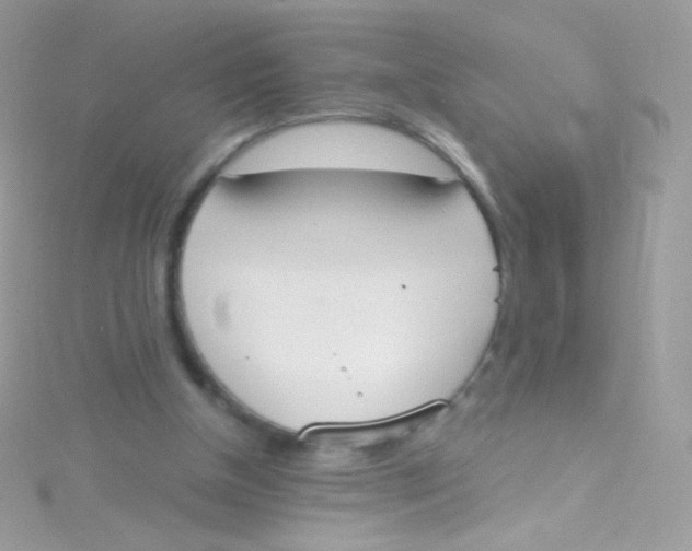 X0000115420154200911241355