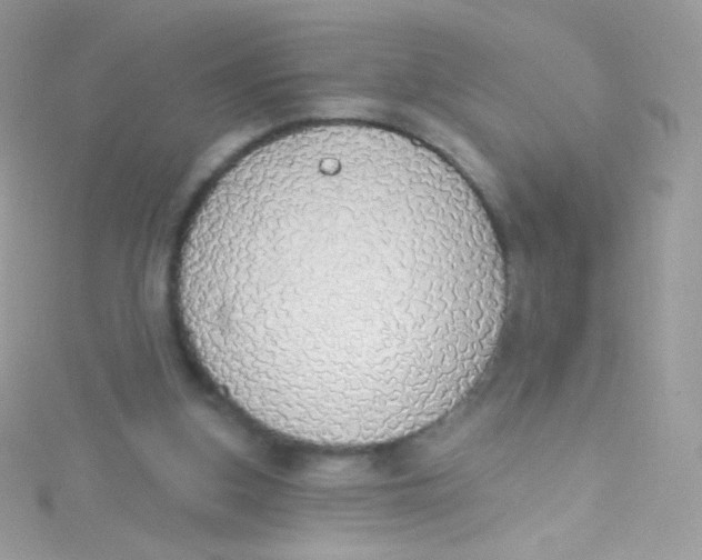 X0000115420155200911241355