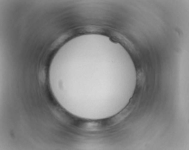 X0000115420158200911241355