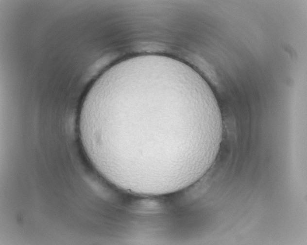 X0000115420159200911241355