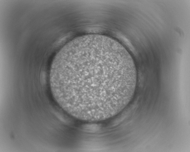 X0000115420161200911241355