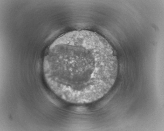 X0000115420165200911241355