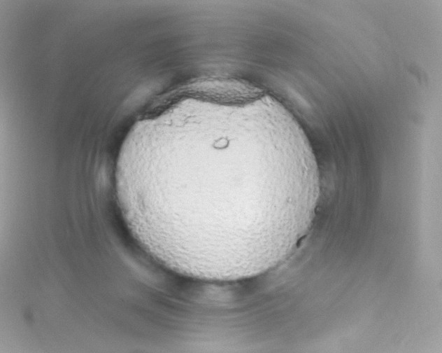 X0000115420166200911241355