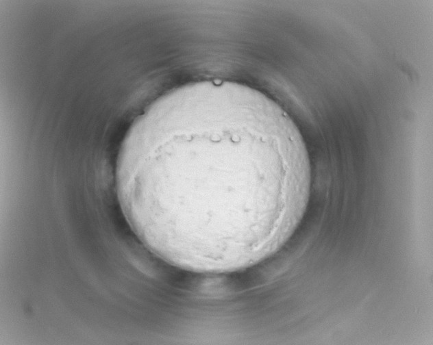 X0000115420173200911241355