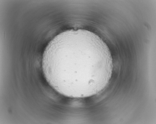 X0000115420175200911241355