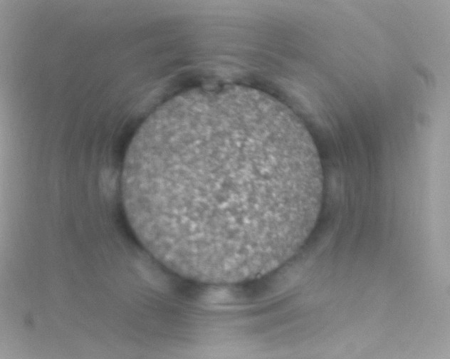 X0000115420177200911241355