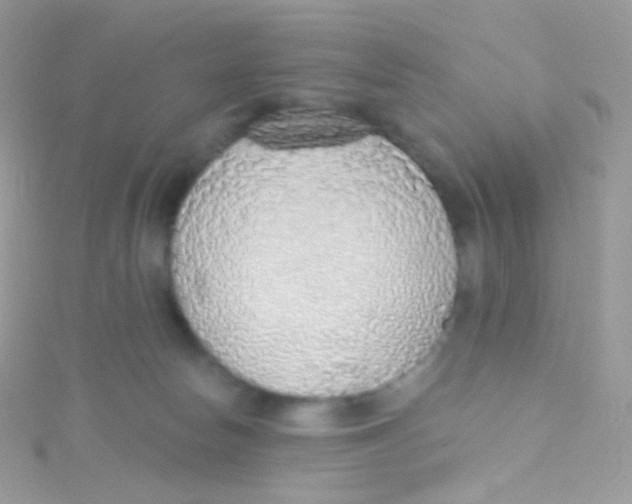 X0000115420178200911241355