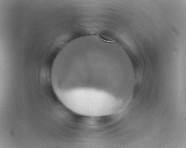 X0000115420182200911241355