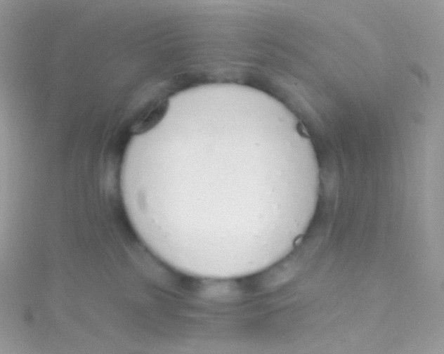 X0000115420185200911241355