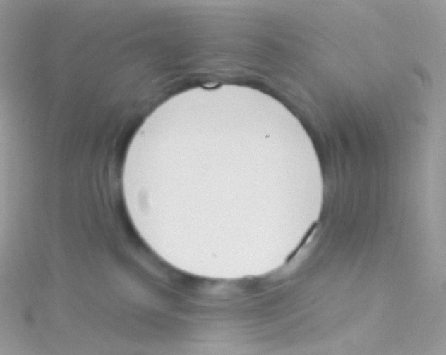 X0000115420186200911241355