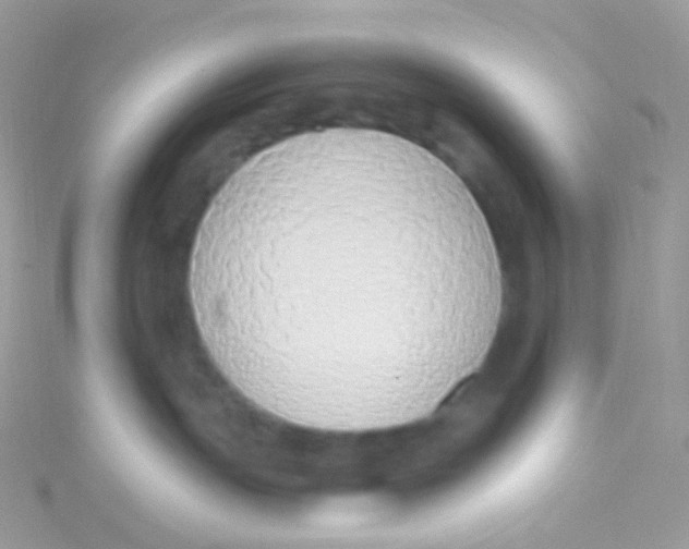 X0000115420191200911241355