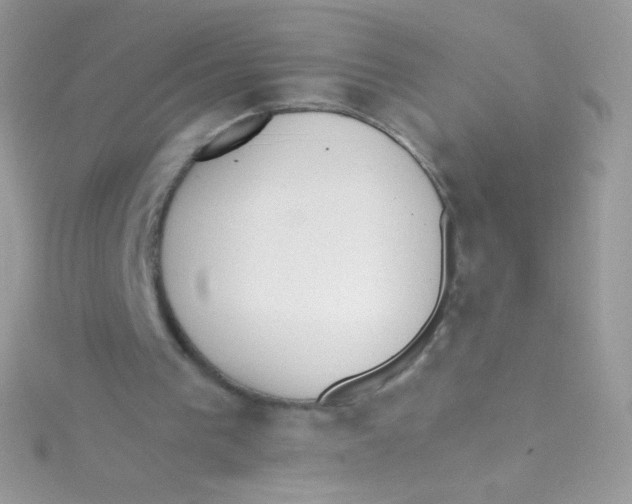 X0000115420193200911241355