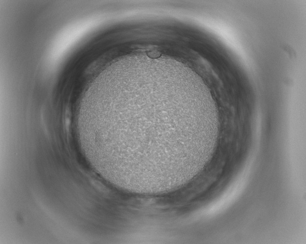 X0000115420194200911241355