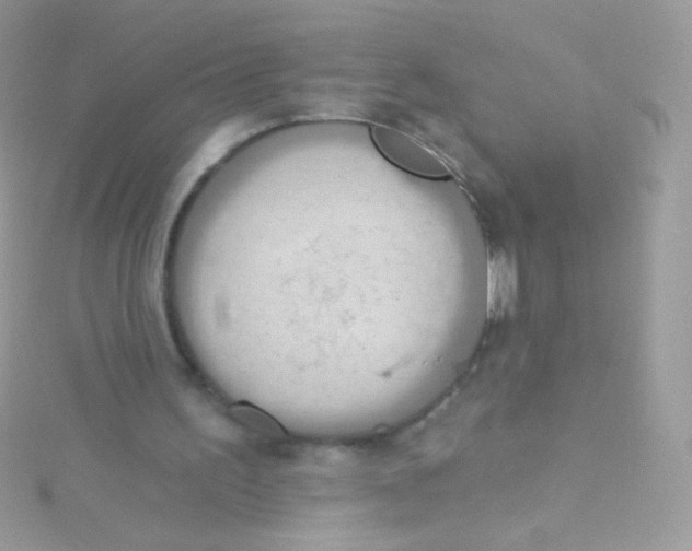 X0000115420195200911241355