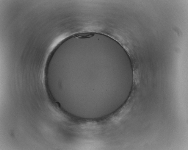 X0000115420196200911241355