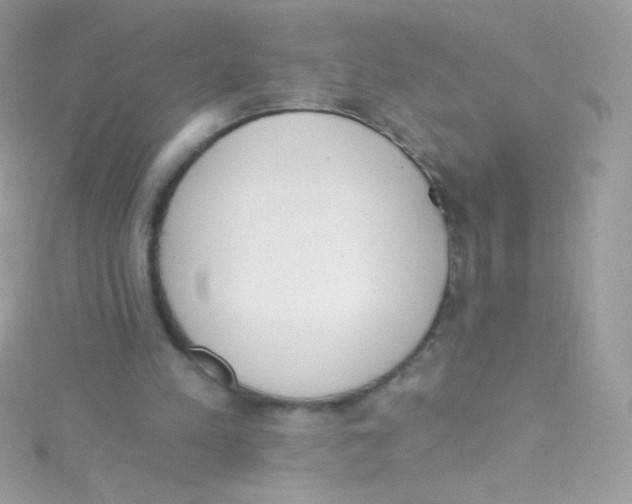 X0000115420197200911241355