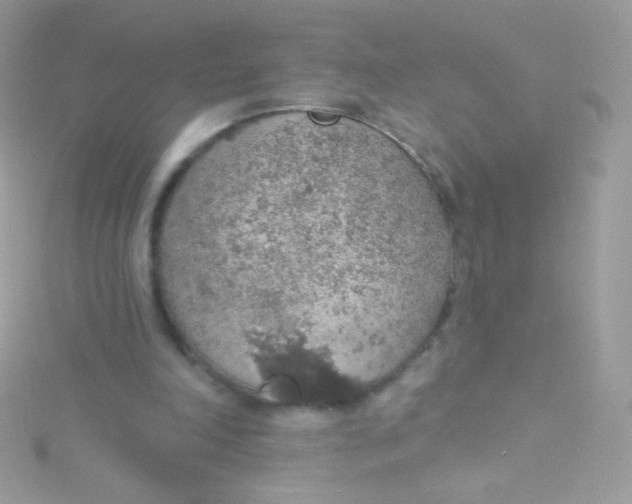 X0000115420198200911241355