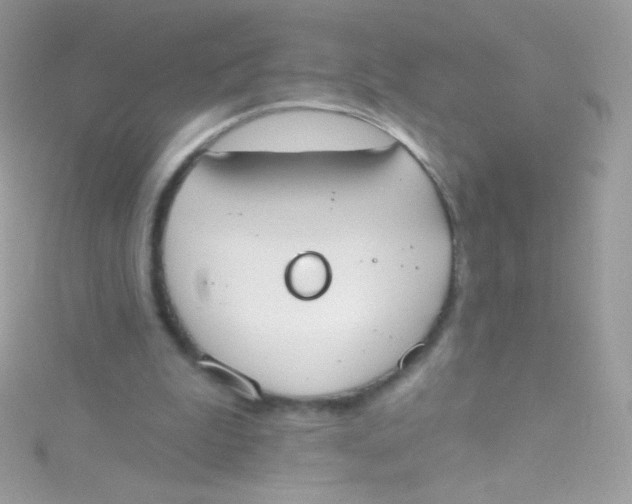 X0000115420199200911241355