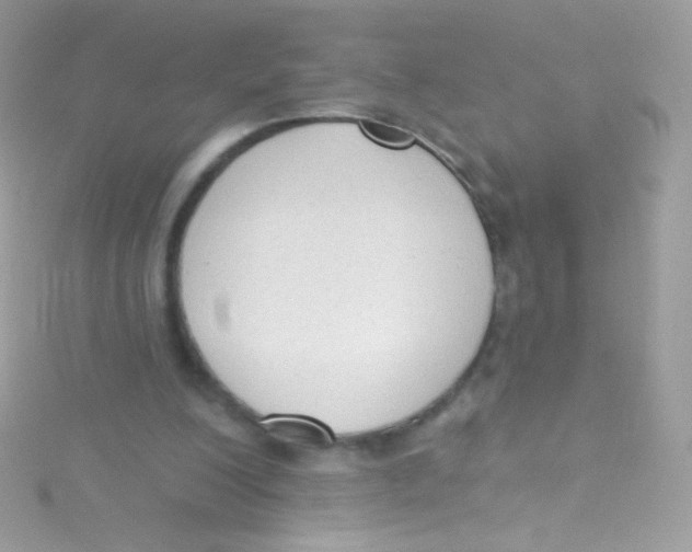 X0000115420200200911241355