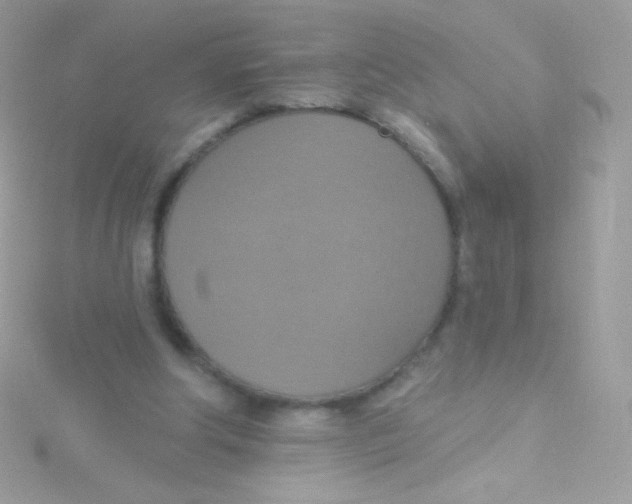 X0000115420202200911241355