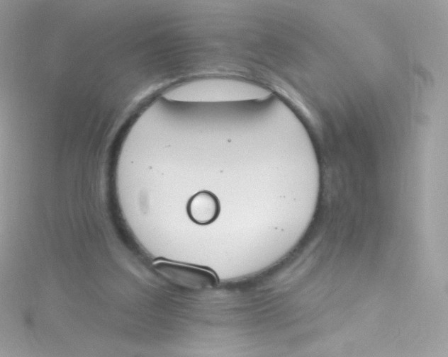 X0000115420203200911241355